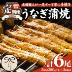 のうなぎ蒲焼 2尾