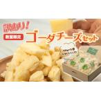訳あり ゴーダチーズセット