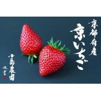 ふるさと納税 来シーズン予約受付 京いちご 450g いちご イチゴ いちご いちご いちご いちご 京都府亀岡市