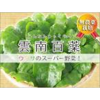 ※品切れ※ 雲南百薬 1kg