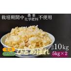 ふるさと納税 【 2025年