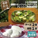 飛騨の新鮮モッツァレラ&フレッシュ野菜