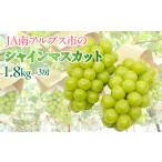 ショッピングシャインマスカット ふるさと納税 5-2 【令和6年9月上旬から10月中旬発送予定】絶品！南アルプス市産シャインマスカット1.8kg 山梨県南アルプス市