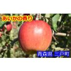 ふるさと納税 りんご【あいかの香り】約5kg(12〜20玉)【2025年産・先行予約】★2025年11月上旬〜12月下旬頃までの発送予定★ 青森県三戸町産 青森県三戸町