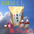 コシヒカリ 若狭尽くし 梅ざんまい その13