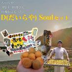 梅干し 三代目 D Soul 目白大学の学生が考案