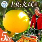 訳あり 土佐文旦 5kg