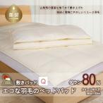 ダウン80% 160×200 クイーン