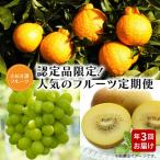 認定品のフルーツ定期便 年3回