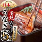 伊崎田のうなぎ蒲焼 大 5尾