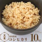 米 コシヒカリ 玄米 10kg