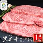 isa297 産黒毛和牛 伊佐黒王牛サーロインステーキ 計1kg