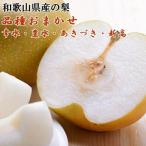 産の梨約2kg 品種おまかせ
