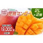 ふるさと納税 【先行予約】西都市特産　完熟マンゴー　2L×2個　計700g以上　2026年発送＜1.2-39＞ 宮崎県西都市