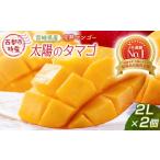 ふるさと納税 【先行予約】最高級ブランド『太陽のタマゴ』2L×2個【糖度15度以上】宮崎県西都市産完熟マンゴー ＜2-76＞2026年発送 宮崎県西都市