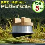 自然栽培米 にこまる 玄米 5kg