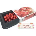 ふるさと納税 ★5月まるごと母の日★さくらんぼ 佐藤錦 スリーヴ Lサイズ 300g (5/15〜発送)【令和8年産先行予約】 FS24-677 山形県山形市