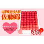 ふるさと納税 ★5月まるごと母の日★さくらんぼ 佐藤錦 Lサイズ 300g 手詰 (5/15〜発送)【令和8年産先行予約】FS25-551 山形県山形市