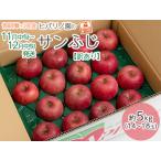 りんご サンふじ 約5kg
