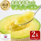 まるまる育ったマスクメロン 2玉