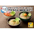 ふるさと納税 国産 さかなどん 3種（マダイ・ヒラメ・サーモン） × 3 合計9パック 海鮮漬け丼セット 漬け魚 [BFAA081] 【配送不可地域：北.. 福井県小浜市