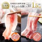 豚肉 山豚ロース しゃぶ バラ 焼肉セット