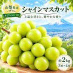 シャインマスカット 約2.0kg