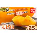タカハマ観光農園の太秋柿 約2.5kg