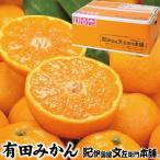 田村みかん 秀品5キロ サイズおまかせ◆2026年11月下旬~2027…