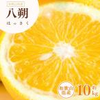 八朔 はっさく 約10kg