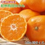 和歌山有田みかん 約10kg
