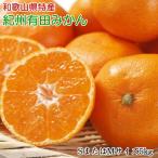 和歌山有田みかん 5kg