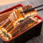 ふっくら柔らか うなぎ蒲焼き 約2人前