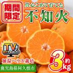 \テレビで紹介されました 産加温ハウス栽培の不..