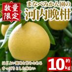 まなべみかん園の河内晩柑 約10kg
