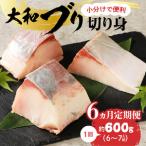 大和ブリの切り身 6ヶ月定期便 N072-YE132