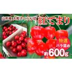 ふるさと納税 山形産 大粒さくらんぼ 紅てまり 特選 バラ詰め 約600g 【令和7年産先行予約】FS24-637くだもの 果物 フルーツ 山形 山形県 山形市.. 山形県山形市