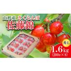 ふるさと納税 さくらんぼ 佐藤錦 L 1.6kg(200g×8) 【令和7年産先行予約】FU21-817 くだもの 果物 フルーツ 山形 山形県 山形市 2025年産 山形県山形市
