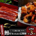 うなぎ 全3回 定期便 蒲焼 IBZ020-003