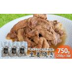生姜焼き 長谷川の自然熟成豚 レトルト