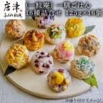 一粒庵 一膳ごはん16種詰合せ 125g×16