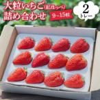 紅ほっぺ いちご 詰合せ デラックス 大粒いちご9 15粒入り