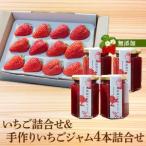紅ほっぺ いちご 詰合せ デラックス 1トレー入り