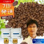 ブルーマウンテンNo.1 コーヒー豆 200g×2個