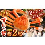 ふるさと納税 特大 ボイル ズワイ蟹 姿 1.5kg 2尾 | 海鮮 カニ かに 蟹 ズワイガニ かにみそ カニみそ 冷凍 大阪府阪南市