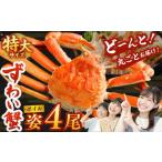 ふるさと納税 特大 ボイル ズワイ蟹 姿 3kg 4尾 | 海鮮 カニ かに 蟹 ズワイガニ かにみそ カニみそ 冷凍 大阪府阪南市