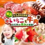 いちごと牛肉の贅沢定期便 いちご 牛肉