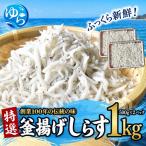 しらす 釜揚げ 1kg