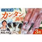 剣先 イカ 生 冷凍 3枚刺身 塩辛 刺身 剣先いか