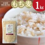 のびる村大麦 もち麦 1kg